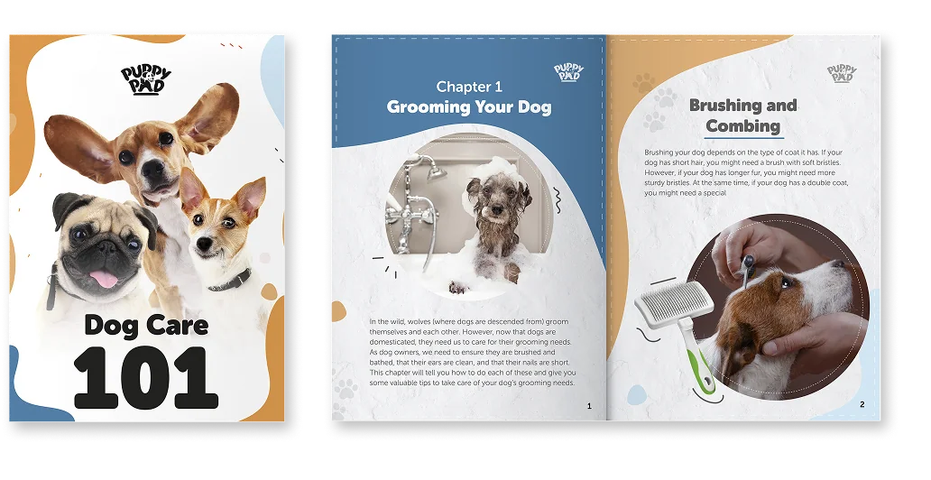 Dog Care 101