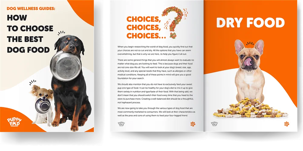 How To Choose The Best Dog Food