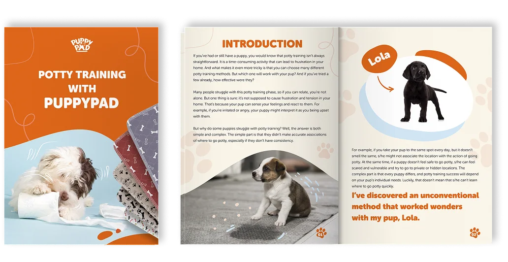 Potty training with PuppyPad